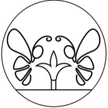 SICRETU D'APA