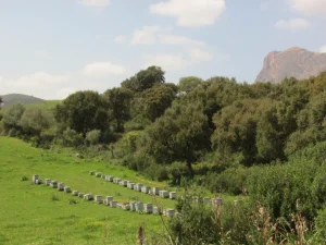 Ruches en Corse - exploitation apicole Secrets d'Abeilles